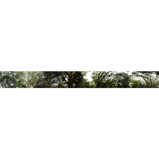 Photographic mural for the exterior 2 Houston Center Building , Houston, Prepared Image View.  13’ x 100’