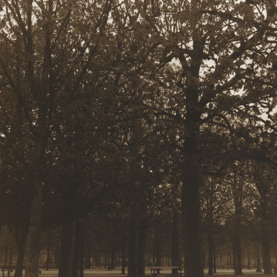 <p><em>Luxembourg Gardens</em>, Gelatin Silver Print, Sepia Toned. 9</p>