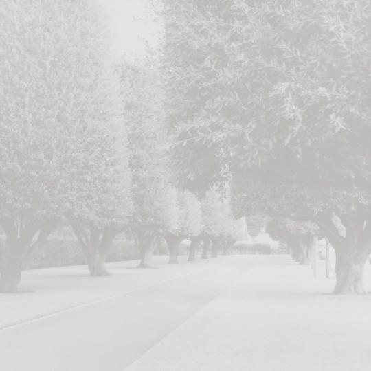 <p><em>American Cemetery</em>, from the series <em>Ghost</em>. Gelatin Silver Print.</p>