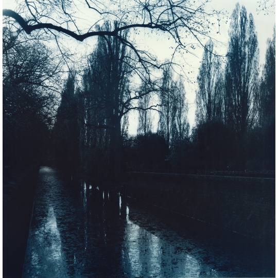 <p><em>Chenoncea</em>u. Gelatin Silver Print, Toned. 15</p>