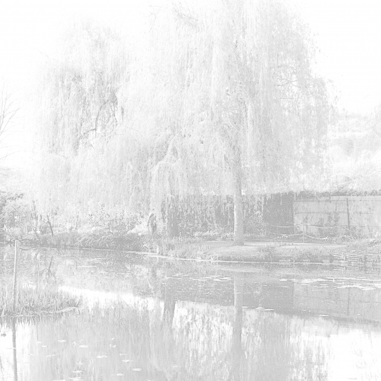 <p><em>Giverny</em>, from the Series <em>Ghost</em>. Gelatin Silver Print.</p>
