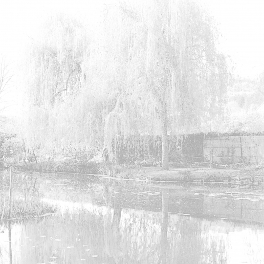 <p><em>Giverny</em>, from the Series <em>Ghost</em>. Gelatin Silver Print.</p>