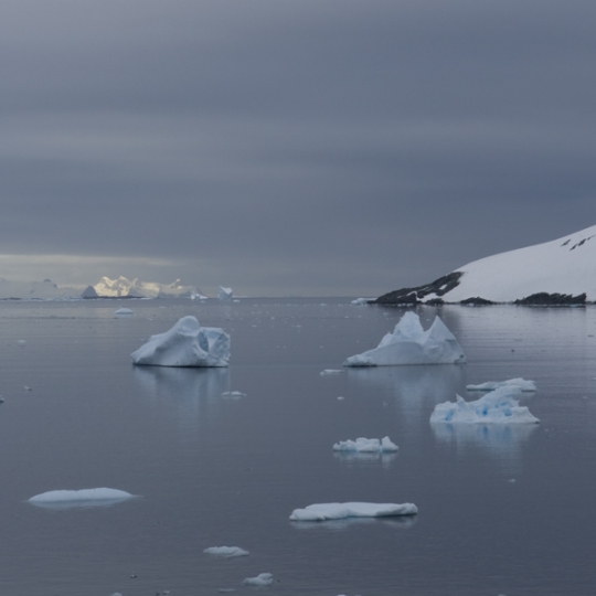 <p><em>Antarctica _3FJ3238</em> Chromogenic Transparency, LED Light Panel. 36&rdquo; x 60&rdquo; 2007</p>
